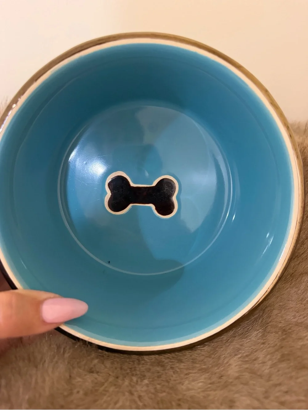 Ceramic Dog Bowl in Bright Turquoise with Polka Dot Accents